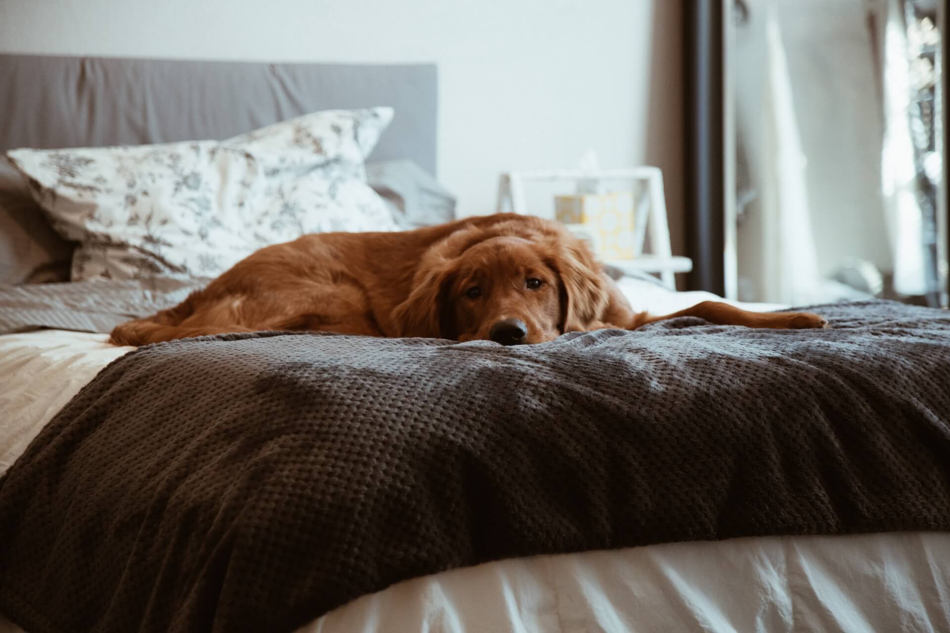 Weighted discount blanket works